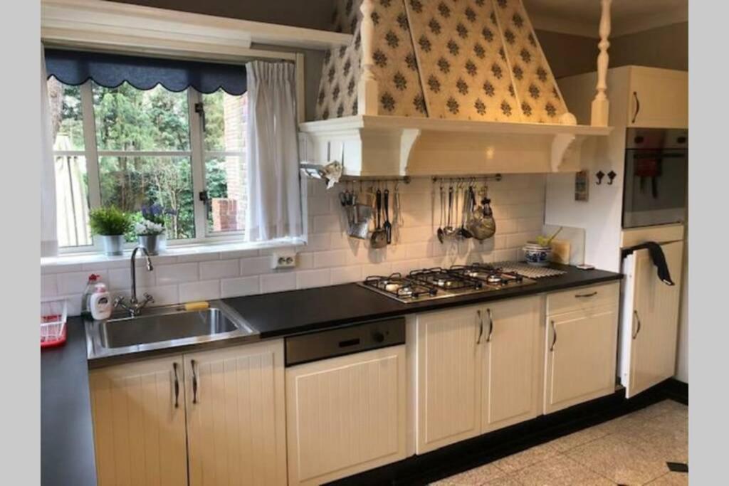 Vrijstaande Rietgedekte Villa Nabij Uitvalswegen Wassenaar Exterior foto